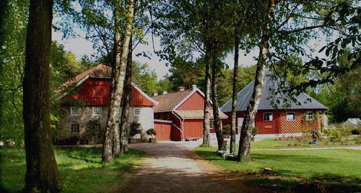 Husene på Agder Naturmuseum