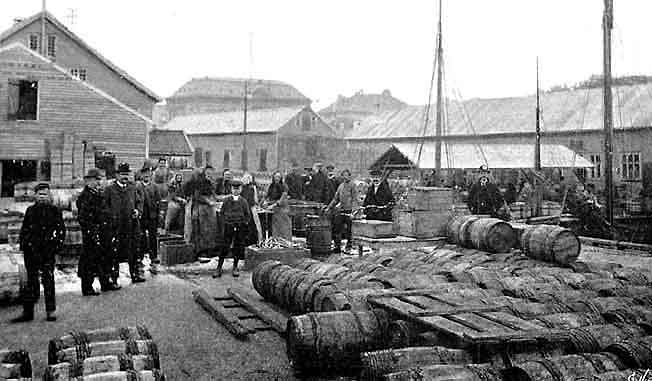 T. Haanes Forretning i Kristiansand Kvadraturen 1905